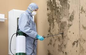 Best Commercial Mold Inspection  in Mill Hall, PA